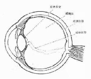 急性視網膜壞死綜合徵