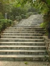 周口店階 周口店階