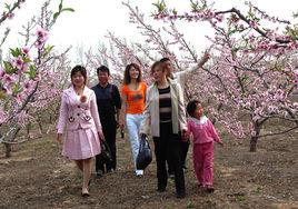 大柳灘村 大柳灘村