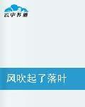 風吹起了落葉 風吹起了落葉