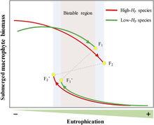 圖6解釋淺水湖泊穩態轉化機制與過程的模式圖