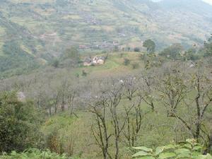 大地埂村 大地埂村