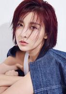 心愛的[2017年徐海喬、賈青主演電視劇]