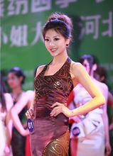 2012世界旅遊小姐河北賽區賽場合影