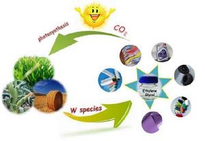 相轉移催化作用 相轉移催化作用