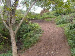 下黃梨村 下黃梨村