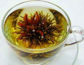 蒲公英茶 蒲公英茶