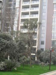 雙華·麓港一期 雙華·麓港一期