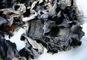 石花大曲 石花大曲