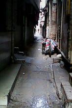 中國作家[作家分類]