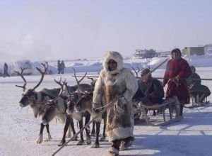 涅涅茨民族自治區