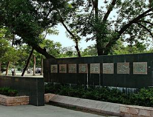 青島文化公園 青島文化公園