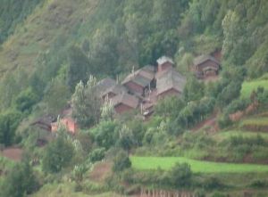 坪地大圍樹村 坪地大圍樹村