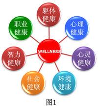 Wellness健康構成圖