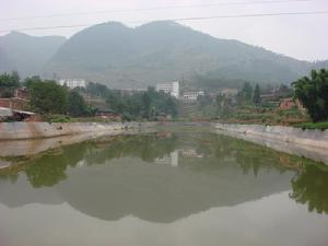 楊柳鄉[濉溪縣]