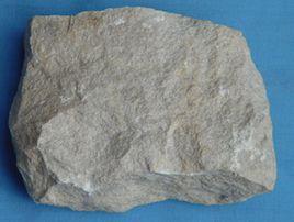 燈影恰尼蟲化石 燈影恰尼蟲化石