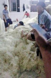 臭腳米粉 臭腳米粉