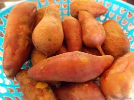 甜蜜金疙瘩 甜蜜金疙瘩