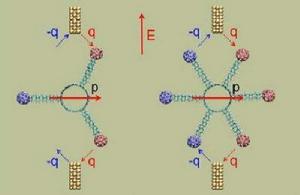 隧穿電子 隧穿電子