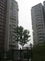 北沙灘八號院 北沙灘八號院