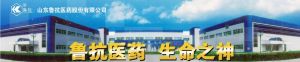 山東魯抗醫藥股份有限公司