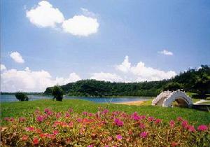 沉湖基地生態景觀旅遊園