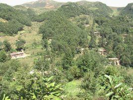 丫口自然村[雲南彝良縣蕎山鄉下轄村]