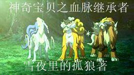 神奇寶貝之血脈繼承者 神奇寶貝之血脈繼承者