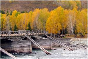 喀納斯湖畔圖瓦村