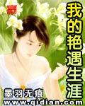 我的艷遇生涯 我的艷遇生涯