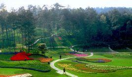 象湖生態風景區 象湖生態風景區