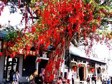 龍母太廟附近景點照片