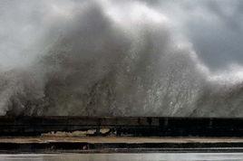 1983年大西洋颶風季 1983年大西洋颶風季