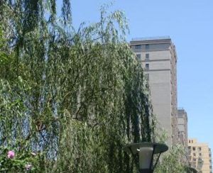 北京市西城區官園國小 北京市西城區官園國小