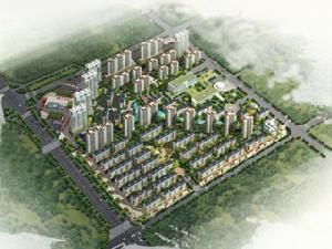 金谷陽光地帶 金谷陽光地帶