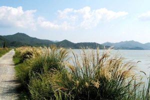 東錢湖旅遊度假區