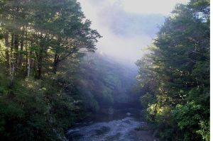 凱托克地區公園 凱托克地區公園