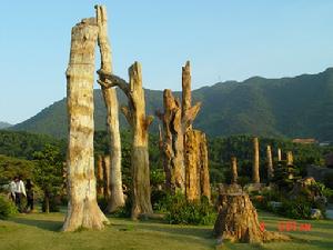 化石森林 化石森林