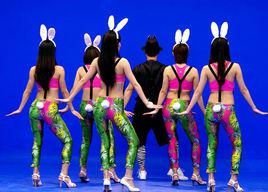 兔子舞[娛樂舞蹈]