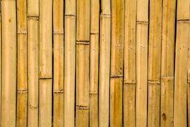 竹片之用 竹片之用