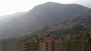 炮連VS反逆連鏖戰地--周家樓