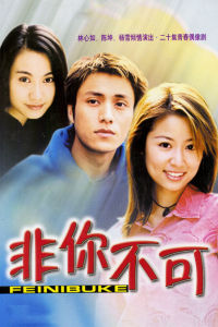 《非你不可》[2001年滕華濤執導電視劇]