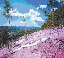 女滿別町 女滿別町