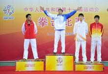 麥麥提圖爾孫&middot;瓊比賽記錄