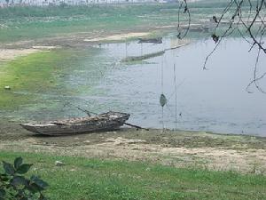 丹東鴨綠江口濱海濕地國家級自然保護區