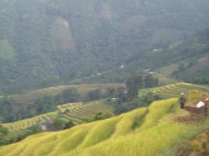 老南坪自然村 老南坪自然村