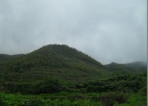 佛老贈楊岐振悟大千之鐘山---鐘形嶺