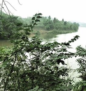 大濛溪河 大濛溪河