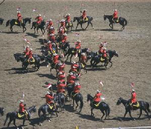 卡爾加里牛仔節的表演節目