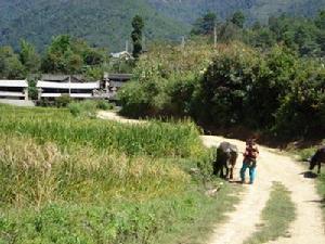 松嶺寨村基礎設施